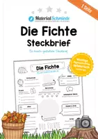 Vorschau - Arbeitsblätter - Steckbrief: Die Fichte - Deckblatt