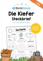 Vorschau - Arbeitsblätter - Steckbrief: Die Kiefer - Deckblatt