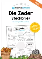 Vorschau - Arbeitsblätter - Mega-Bundle: Steckbriefe Bäume & Blätter (12 Arbeitsblätter) - Seite 1