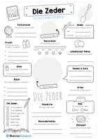 Vorschau - Arbeitsblätter - Mega-Bundle: Steckbriefe Bäume & Blätter (12 Arbeitsblätter) - Seite 2