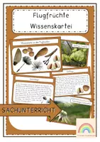 Vorschau - Unterrichtsreihen - Flugfrüchte - Wissenskartei und Flipbook zur Wissenskartei - Deckblatt