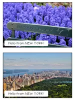 Vorschau - Arbeitsblätter - New York - Writing a Postcard / eine Postkarte schreiben - Seite 2
