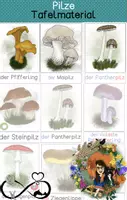 Vorschau - Präsentationen/Tafelbilder - Pilze - Tafelmaterial /DAZ-Variante/ Silbenschrift - Deckblatt