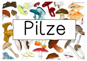 Vorschau - Anderer Materialtyp - Pilze - Deckblatt/ Plakat - Seite 2