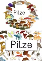 Vorschau - Anderer Materialtyp - Pilze - Deckblatt/ Plakat - Deckblatt