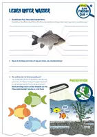 Vorschau - Arbeitsblätter - Aquarium & Fische: Arbeitsblätter - Seite 1