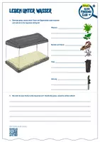 Vorschau - Arbeitsblätter - Aquarium & Fische: Arbeitsblätter - Seite 2