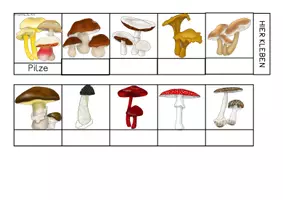 Vorschau - Mal- und Bastelvorlagen - Pilze - Sammlung von Leporellos - Seite 3