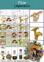 Vorschau - Mal- und Bastelvorlagen - Pilze - Sammlung von Leporellos - Deckblatt
