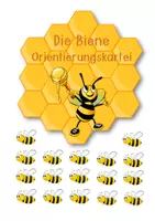Vorschau - Anderer Materialtyp - Bienenwaben Orientierungskartei (Biene) - Seite 1