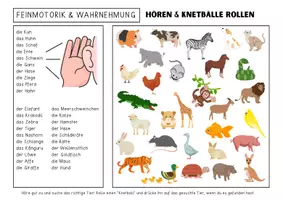 Vorschau - Fördermaterial/Inklusion - Sprachförderung Kindergarten & DAZ - KNETBRETTER - Seite 2