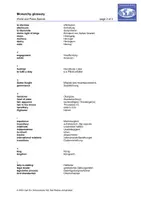 Vorschau - Anderer Materialtyp - Glossar Monarchy - Seite 2