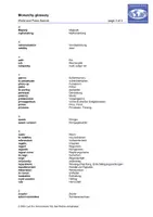 Vorschau - Anderer Materialtyp - Glossar Monarchy - Seite 3