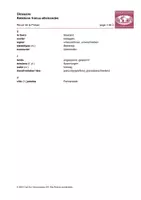 Vorschau - Anderer Materialtyp - Glossar franco-allemandes - glossaire - Seite 3