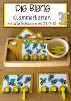 Vorschau - Anderer Materialtyp - BIENEN: Klammerkarten im ZR 6 - Deckblatt