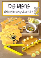 Vorschau - Anderer Materialtyp - Bienenwaben Orientierungskartei (Biene) - Deckblatt