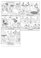 Vorschau - Stationenlernen - Leporello - Wiesenarten - Seite 3