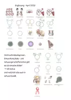 Vorschau - selbst erstellte Cliparts/Grafiken - Clipart-Set: *Sexuelle Bildung, Sexualkunde, Sexualerziehung, Verhütung, Menstruation, Schwangerschaft* - Seite 3