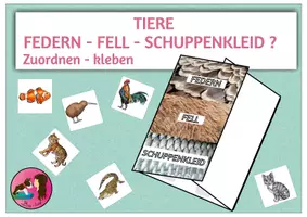Vorschau - Arbeitsblätter - FEDERN - FELL - SCHUPPENKLEID? Faltbüchlein - Deckblatt