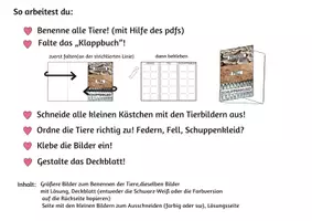 Vorschau - Arbeitsblätter - FEDERN - FELL - SCHUPPENKLEID? Faltbüchlein - Seite 1