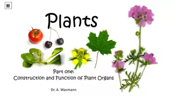 Vorschau - Arbeitsblätter - Plants for self-guided Learning - Seite 1