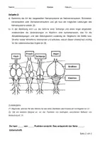 Vorschau - Arbeitsblätter - LK Gehirn (inkl. Lösungen) - Seite 1