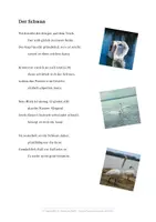 Vorschau - Text - 🦢 Der Schwan - kurzes Gedicht mit "Moral" & Bio-Infos - Seite 1