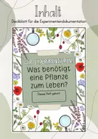 Vorschau - Stundenentwürfe - Experimente/ Versuche: Was benötigt eine Pflanze zum Leben? - Seite 2