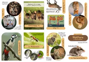 Vorschau - Arbeitsblätter - Materialpaket "Minibücher - Wald" (ab Klasse 3) - Seite 1