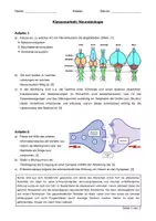 Vorschau - Arbeitsblätter - KA Sinnesphysiologie/Neurobiologie (inkl. Lösungen) - Deckblatt