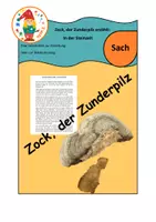 Vorschau - Text - Geschichte über die Steinzeit: der Zunderpilz erzählt - Deckblatt