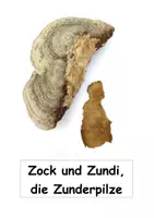 Vorschau - Text - Geschichte über die Steinzeit: der Zunderpilz erzählt - Seite 3