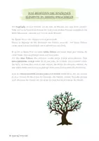 Vorschau - Arbeitsblätter - Das Sprachbild vom Ölbaum - Verhältnis Christen und Juden - Deckblatt