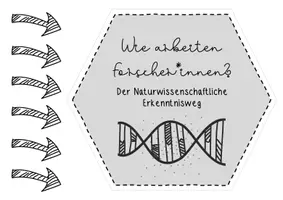 Vorschau - Poster - Dekoration für den Bioraum! - Seite 1
