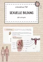 Vorschau - Arbeitsblätter - Materialpaket - Sexuelle Bildung - Seite 1