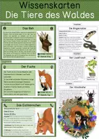 Vorschau - Stationenlernen - Waldtiere - differenzierte Wissenskarten Wissenskartei (6 Formate) - Deckblatt