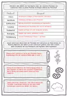 Vorschau - Arbeitsblätter - Merkmale der Lebewesen // Arbeitsblatt und Infokarten - Seite 2