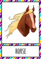 Vorschau - Bildkarten - Flashcards Tiere/Animals auf Englisch - Seite 3