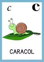Vista previa - Manualidades / Dibujos para colorear - Vocabulario primavera y dibujos para colorear - página 3