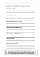 Vorschau - Arbeitsblätter - AB mit Fragen zum Thema "Bremsen (Insekten)" + Lösungsblatt + Infografik - Deckblatt