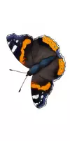 Vorschau - selbst erstellte Cliparts/Grafiken - Unsere Schmetterlinge: Cliparts zur kommerziellen Nutzung - Seite 2