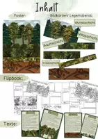 Vorschau - Stundenentwürfe - Stockwerke des Waldes Materialpaket - Flipbook, Tafelmaterial, Texte & Poster - Seite 1
