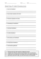 Vorschau - Arbeitsblätter - AB mit Fragen zum Thema "Chamäleons" + Lösungsblatt + Infografik - Deckblatt