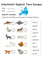Vorschau - Stundenentwürfe - Großes Materialpaket Englisch - Tiere der Welt - Seite 2