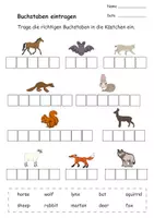 Vorschau - Stundenentwürfe - Großes Materialpaket Englisch - Tiere der Welt - Seite 3