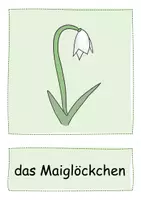 Vorschau - Fördermaterial/Inklusion - Wort-und Bildkarten Frühling/Ostern/Frühblüher für Deutsch oder DaZ - Wortschatz - Seite 3