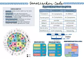 Vorschau - Präsentationen/Tafelbilder - Abivorbereitung Proteinbiosynthese & genetischer Code - Seite 1