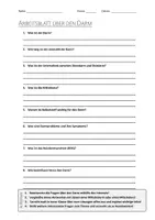 Vorschau - Arbeitsblätter - AB mit Fragen zum Thema "Darm" + Lösungsblatt + Infografiken - Deckblatt