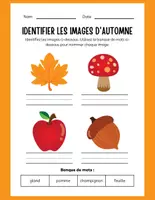 Aperçu - Préparation de séance / Séance complète - Identifier les images +54 fiches d'activités - Page 3