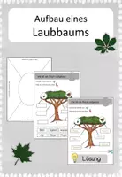 Vorschau - Arbeitsblätter - Aufbau eines Baumes - Deckblatt